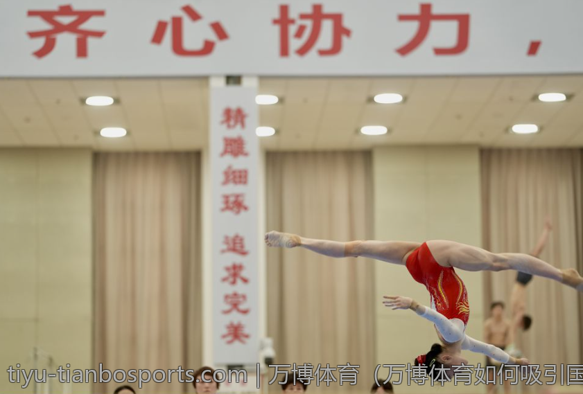 万博体育（万博体育如何吸引国际用户参与）
